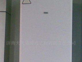 多米娜壁挂炉常见故障代码及解决方法（了解多米娜壁挂炉故障代码）