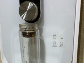 壁挂式净水器开关的更换方法（简单易行的壁挂式净水器开关更换步骤）