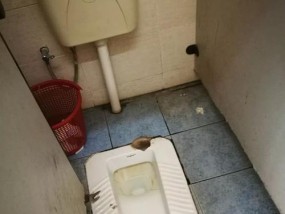 纸张过多导致马桶堵塞，怎么办（清洁卫生需注意）