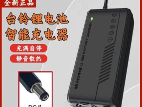 锂电池通用电瓶充电器的标准电压是多少？如何选择合适的充电器？