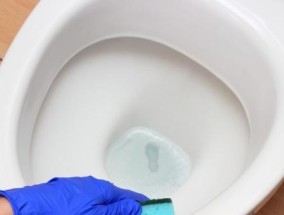 马桶异味的根源和有效处理方法（解决四维马桶异味问题的实用指南）