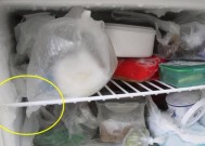 冰箱保鲜结冰处理，让食物更持久新鲜