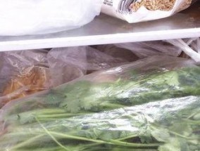 香菜放冰箱里怎么处理？保鲜和口感如何保持最佳？