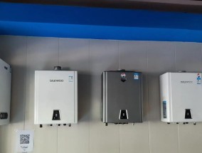 大宇牌壁挂炉故障分析与解决方案（了解大宇牌壁挂炉故障原因及应对方法）