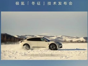 极氪拍照上传手机遇到问题怎么办？