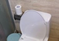 toto马桶反臭味怎么彻底解决？