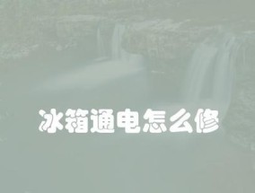 冰箱通电灯光亮却不制冷（揭开冰箱通电灯光亮但不制冷的奥秘）