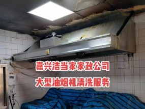 家用油烟机清洗技巧（学会正确的清洗方法）