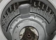 双桶洗衣机桶坏了怎么维修（有效解决双桶洗衣机桶损坏问题的方法及步骤）