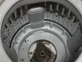 双桶洗衣机桶坏了怎么维修（有效解决双桶洗衣机桶损坏问题的方法及步骤）