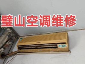 冰柜氟泄露的修复方法与措施（保障食品安全与环境健康的关键举措）