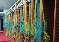服务器进入手机怎么用网络？网络连接的设置方法是什么？