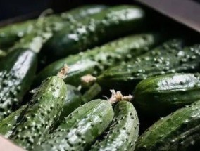 如何保持蔬菜新鲜不坏牙（冰箱贮存技巧解密）