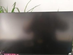 aoc显示器不亮的原因及解决方法（探索aoc显示器亮屏问题的根源）