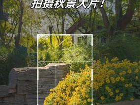 手机拍照如何实现背景虚化效果？技巧有哪些？