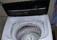 夏普洗衣机E6故障处理方法（解决夏普洗衣机显示E6故障的有效方法）