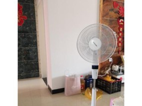 电风扇变慢了怎么办（解决电风扇运转缓慢的方法与技巧）