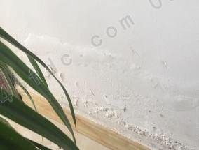 家里地暖漏水应急处理方法（家庭地暖漏水问题解决技巧）