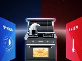 以帅丰集成灶不点火的原因解析（探究以帅丰集成灶独特的点火方式及其优势）