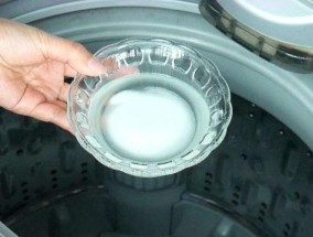 轻松清洁洗衣机内部污垢的方法（简单实用的清洁技巧）