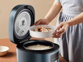探究日本三菱电饭煲E1故障原因及解决方法（日本三菱电饭煲E1故障原因解析与维修技巧）
