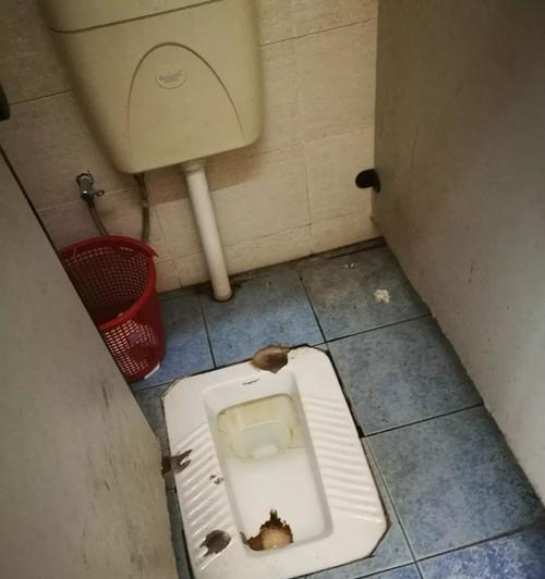 纸张过多导致马桶堵塞，怎么办（清洁卫生需注意）  第1张