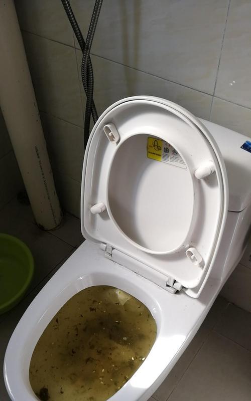清洁卫生小妙招-蹲便堵了不下水的解决方法（让蹲便通畅如初的简单技巧）  第2张